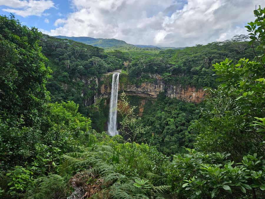 PRIVATE FULL-DAY NORTH AND SOUTH TOUR - A full-day view of Mauritius, from umbrellas to colored earth