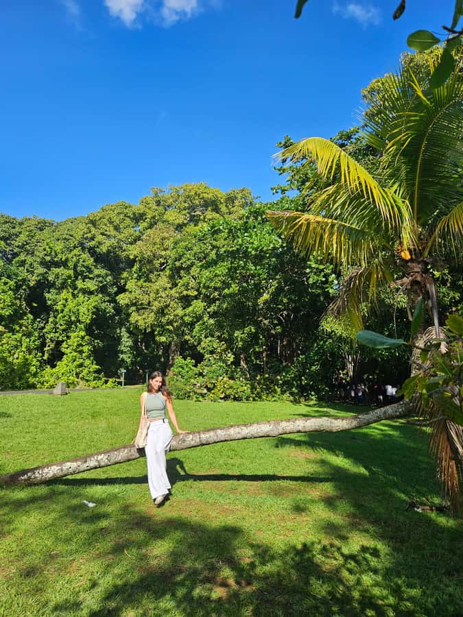 PRIVATE FULL-DAY NORTH AND SOUTH TOUR - Rhumerie de Chamarel, available on request