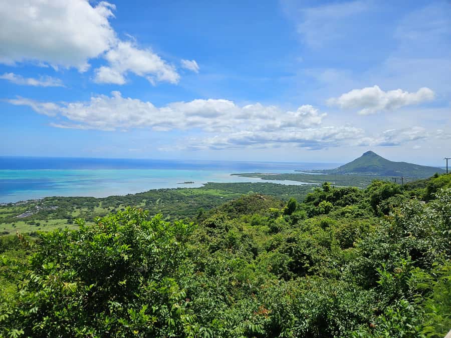 PRIVATE FULL-DAY NORTH AND SOUTH TOUR - Pamplemousses Botanical Garden: plants, monuments, and breathing room