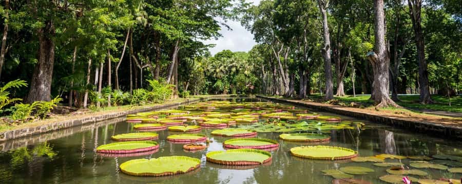 Private Full Day Tour of Port Louis and Northern - Citadelle and Aapravssi Ghat