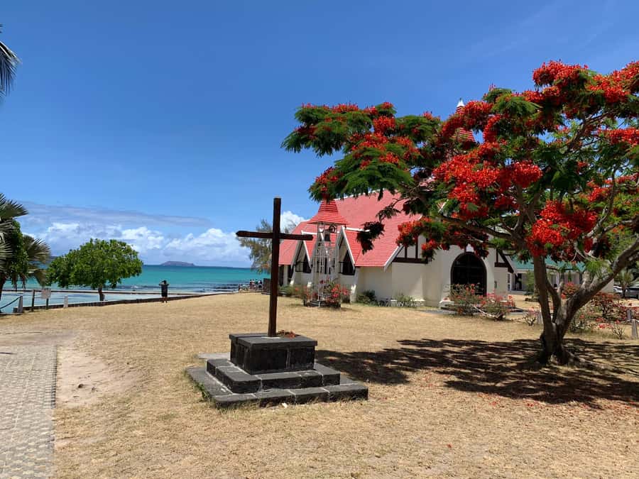 Private Full Day Tour of Port Louis and Northern - Pamplemousses Garden and the Talipot palm