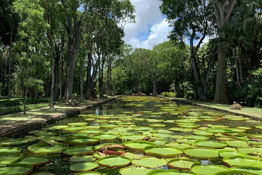 Private Full Day Tour of Port Louis and Northern - Grand Baie and the northern coast