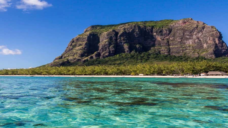Private Île aux Bénitiers Boat: Dolphin Snorkeling & Lobster - What the private price really buys you