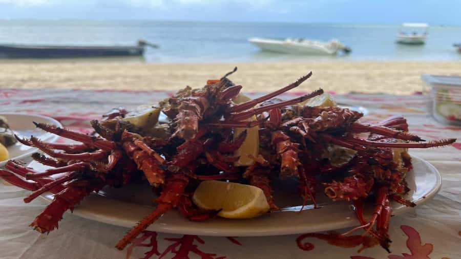 Private Île aux Bénitiers Boat: Dolphin Snorkeling & Lobster - Who should book this private boat day