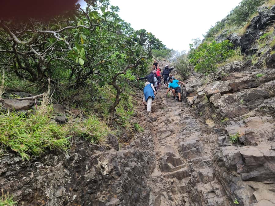 PRIVATE LeMorne Mountain Picturesque Hike-UNESCO Recognised - How tough is the four-hour hike?