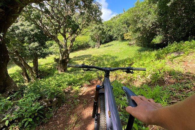 Private Mountain Biking Experience in the Wild South of Mauritius - Riding through private southern Mauritius