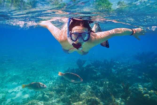 Private speed boat to Ile aux Cerfs full-day Incl: Lunch & Transfer - Four Hours at Ile aux Cerfs