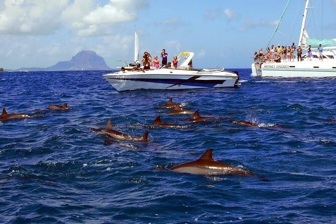 Private Speed Boat Tour and Dolphin Encounter at Ile aux Benitier - Lunch and free time on Ile aux Benitiers