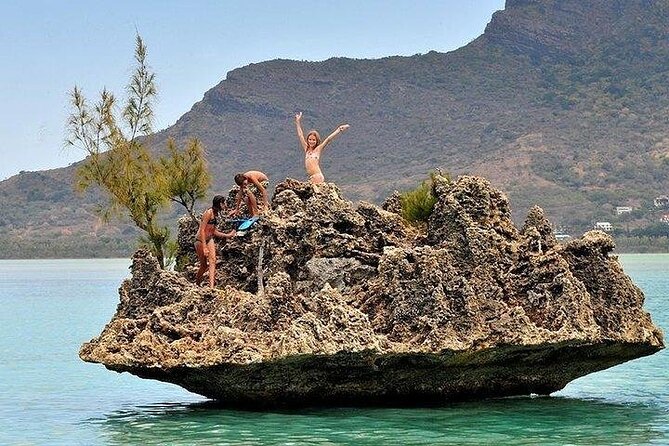 Private Speed Boat Tour and Dolphin Encounter at Ile aux Benitier - Transport, timing, and what to bring