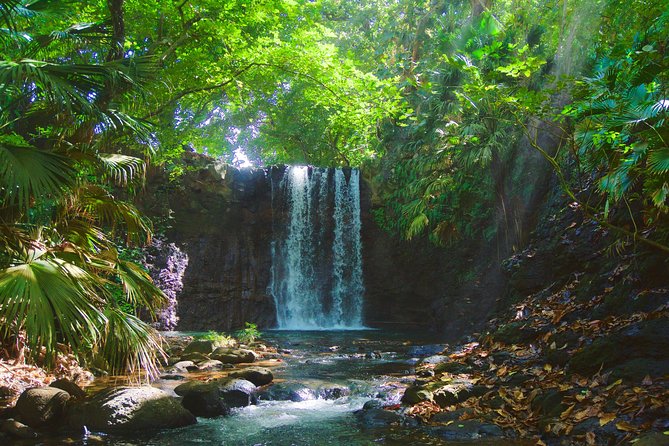 Randonnée - Le Sud Sauvage - What a three-hour format means for your day