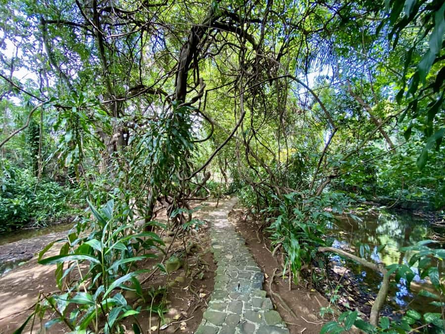 Riambel: South Tour w/ Crocodile Park & Seven Colored Earth - La Vanille Nature Park saves the best for last