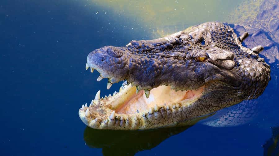Riambel: South Tour w/ Crocodile Park & Seven Colored Earth - Ganga Talao, a crater lake with a spiritual purpose