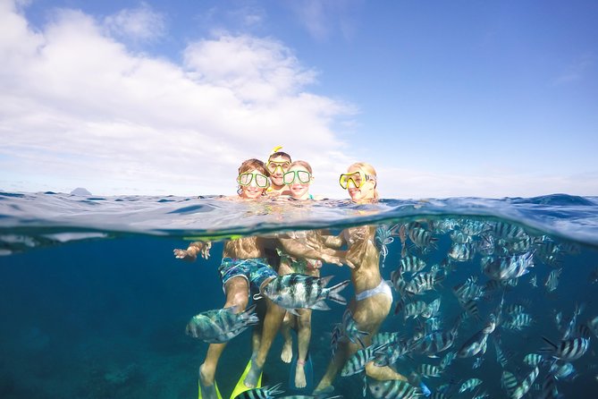 Sailing Catamaran Cruises - Key points to know before booking