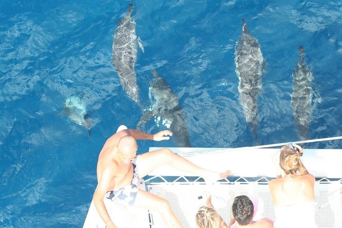 Sailing Catamaran Cruises - Snorkeling around the catamaran