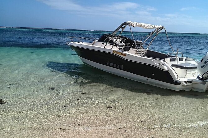 Shared 10 Pax Boat Tour: Dolphin Watching, Snorkelling and BBQ - Is $111.58 a fair price?