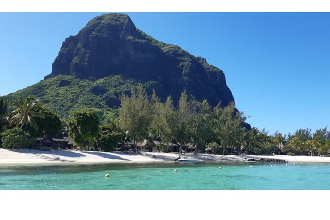 Signature Experience: Dolphins and Flavors of the Sea - Why this Le Morne boat trip feels different