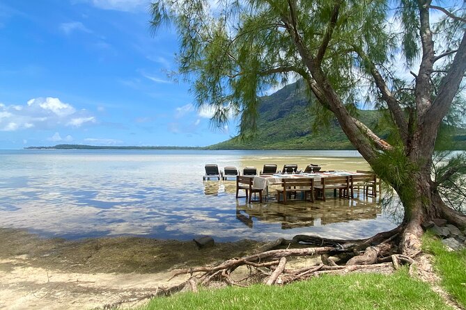 Signature Experience: Dolphins and Flavors of the Sea - Ile aux Benitiers and lunch on a private beach