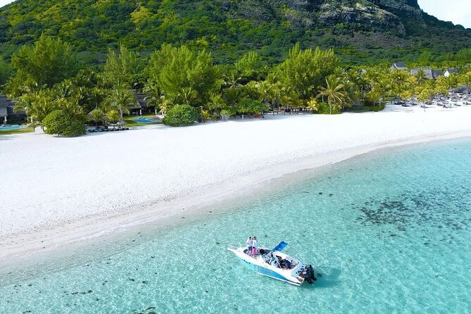Signature Experience: Dolphins and Flavors of the Sea - Starting at The St. Regis Le Morne at 8:00 am