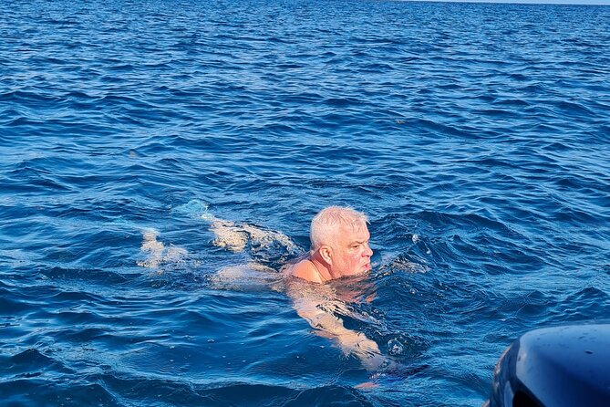Snorkel with Dolphins, Lunch on Benitiers island, Speedboat - Crossing to Ile aux Benitiers
