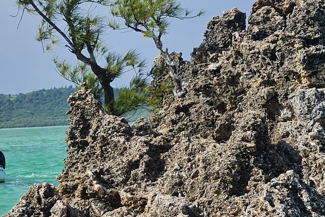 Snorkel with Dolphins, Lunch on Benitiers island, Speedboat - Barbecue lunch, salad, and drinks