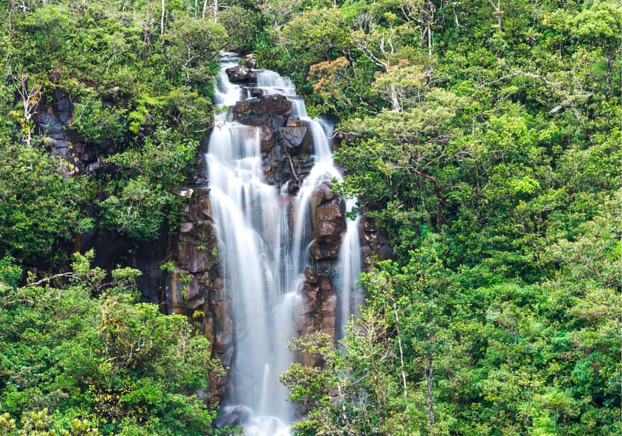 South: Gorges, Waterfalls, Lakes, Trails, 23 Coloured Earth - Sophie Nature Walk begins the day quietly