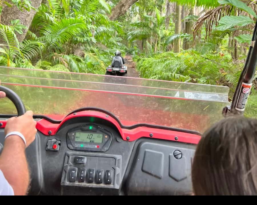 South Mauritius : Buggy Tour - Four hours on paper, about two hours in practice