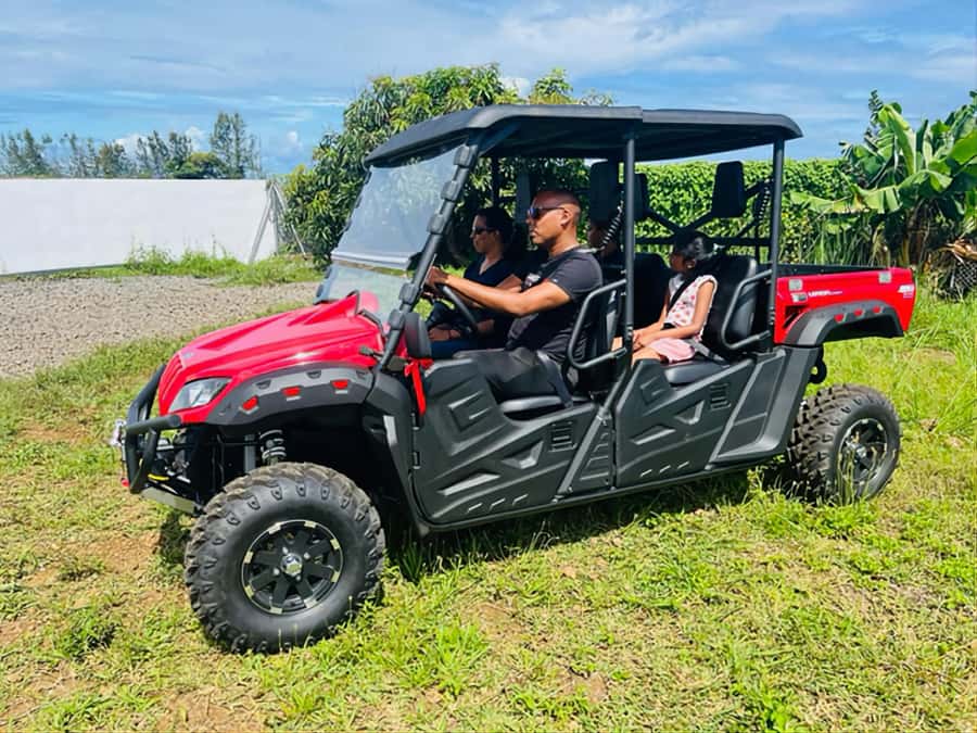 South Mauritius : Buggy Tour - What $293 means for your group