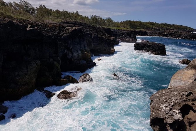 South Mauritius Day Trip: Quad and Sea - Royal Palm Forest, La Cambuse, and Bassin Camaron