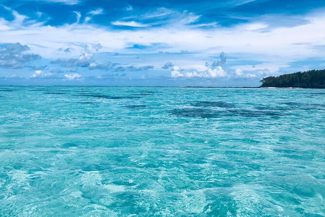 South Mauritius Day Trip: Quad and Sea - Lunch with grilled chicken and fries
