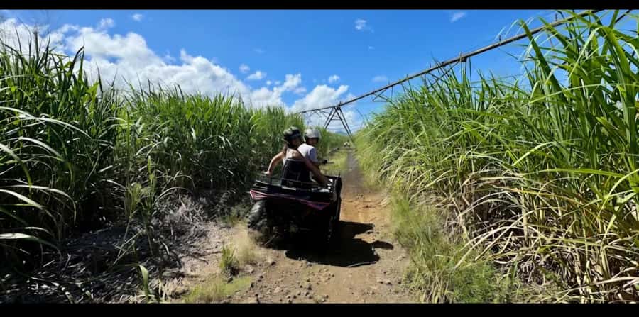 South of Mauritius: Quad Bike Tour - La Cambuse beach and the swim stop
