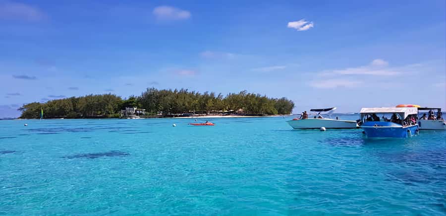 South Of Mauritius Quadbike and Snorkeling Blue Bay - Royal Palm Forest and the coastal stops