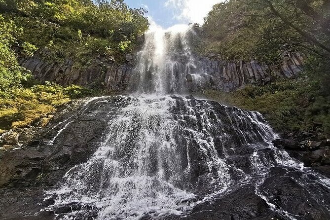 South-West of Mauritius Private Full-Day Scenic Tour - The forest road to Bassin Blanc