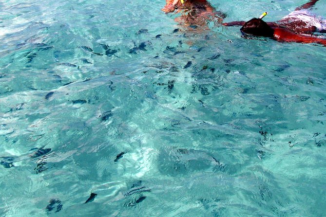 Spectacular Catamaran trip to Ile Aux Cerf with Lunch & Transfer - The undersea walk needs special attention