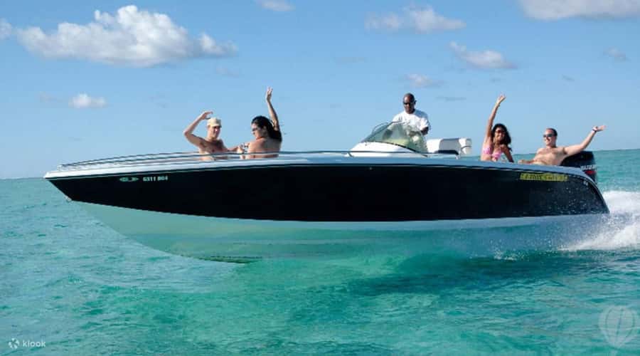 Speedboat to Ile aux Benitier: Dolphin Encounter & Lunch - Swimming with dolphins in Tamarin Bay