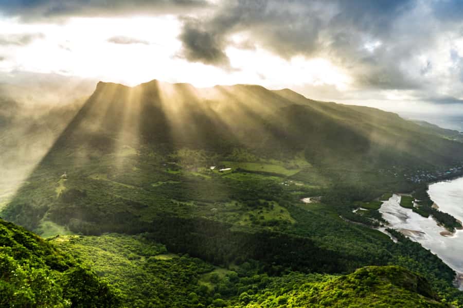 Sunrise hike at Le Morne Brabant with Local Guides (UNESCO) - The first hour: forest, plants, and a steady pace