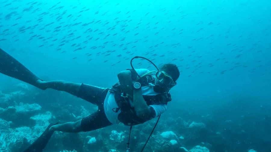 Tamarin Bay: Beginners Scuba Diving Experience - Starting slowly at the Tamarin OceanPro center