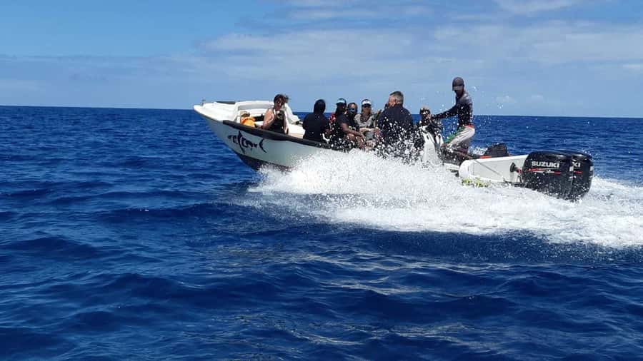 Tamarin Bay: Beginners Scuba Diving Experience - Why the pool session makes such a difference