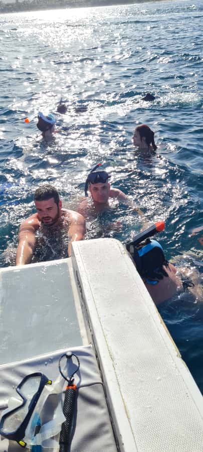 Tamarin: Dolphin Snorkel, CrystalRock, ile o Benitiers Lunch - Guides, crew, and language