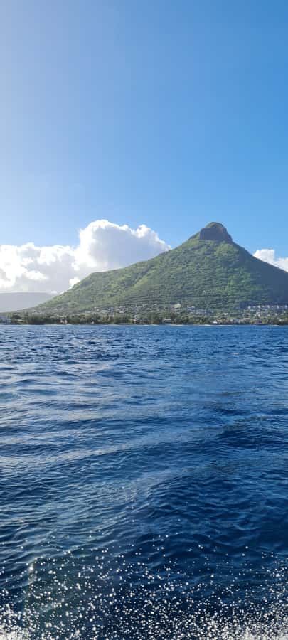 Tamarin: Dolphin Snorkel, CrystalRock, ile o Benitiers Lunch - Who should book this Tamarin outing?