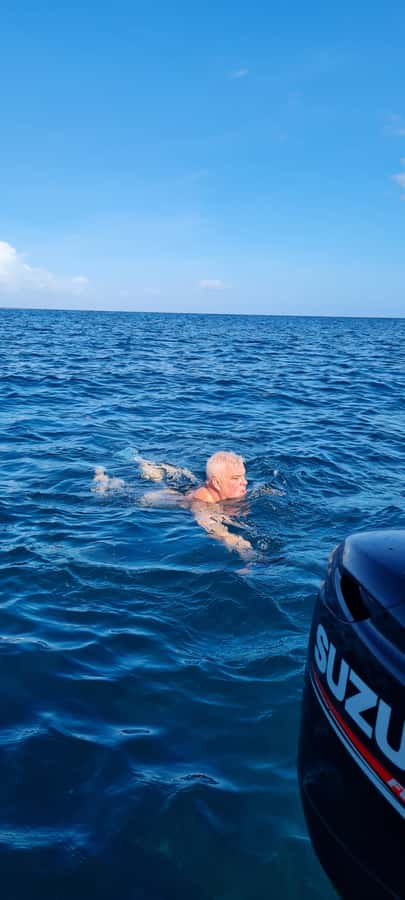 Tamarin: Dolphin Snorkel, CrystalRock, ile o Benitiers Lunch - Practical details before you go