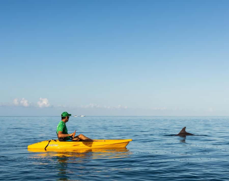 Tamarin: Guided Kayak Tour with Dolphins - Key points to know before booking