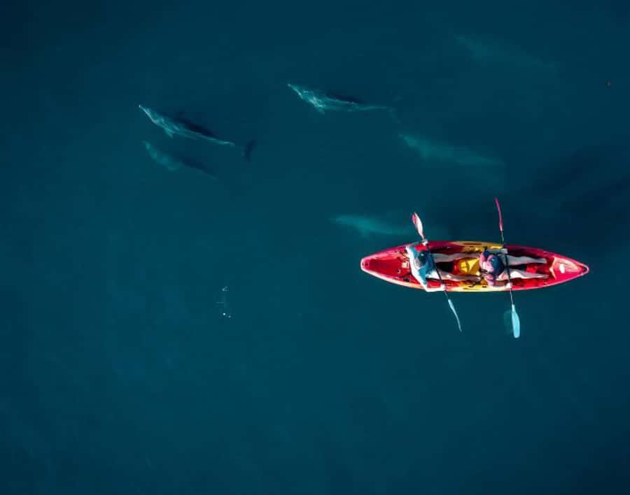 Tamarin: Guided Kayak Tour with Dolphins - A sunrise start on Tamarin Beach