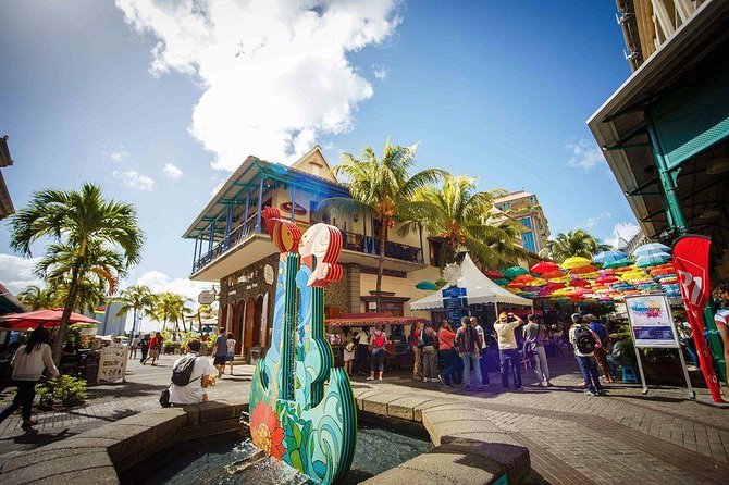 TAXI north guided tour. - Key points to know before booking