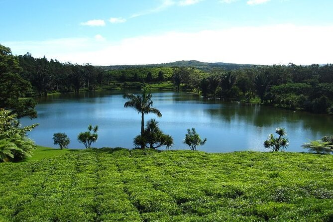 Tea and Culture Route - Grand Bassin and the giant Shiva statue