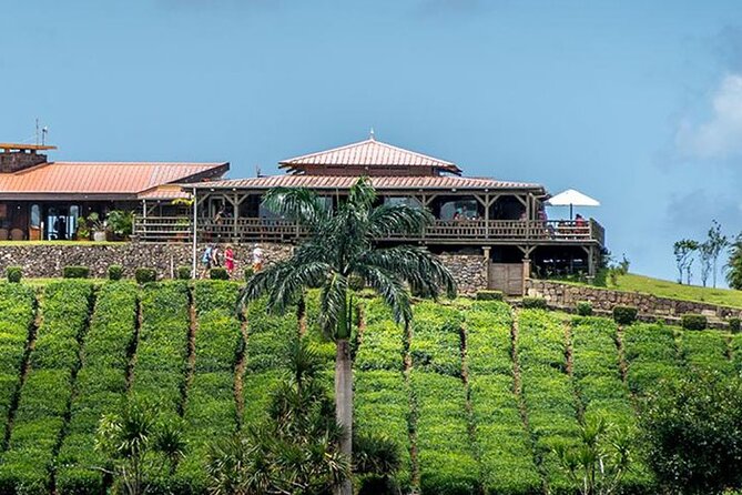 Tea Experience in the Exotic South of Mauritius Private tour. - Takamaka and Mauritius lychee wine