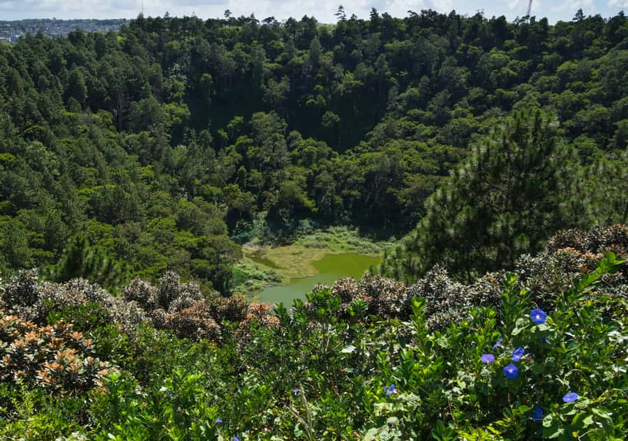 Tea Route: Lake, Forest, Tea Plantation & 3 Course Lunch - What the $58 price really buys you