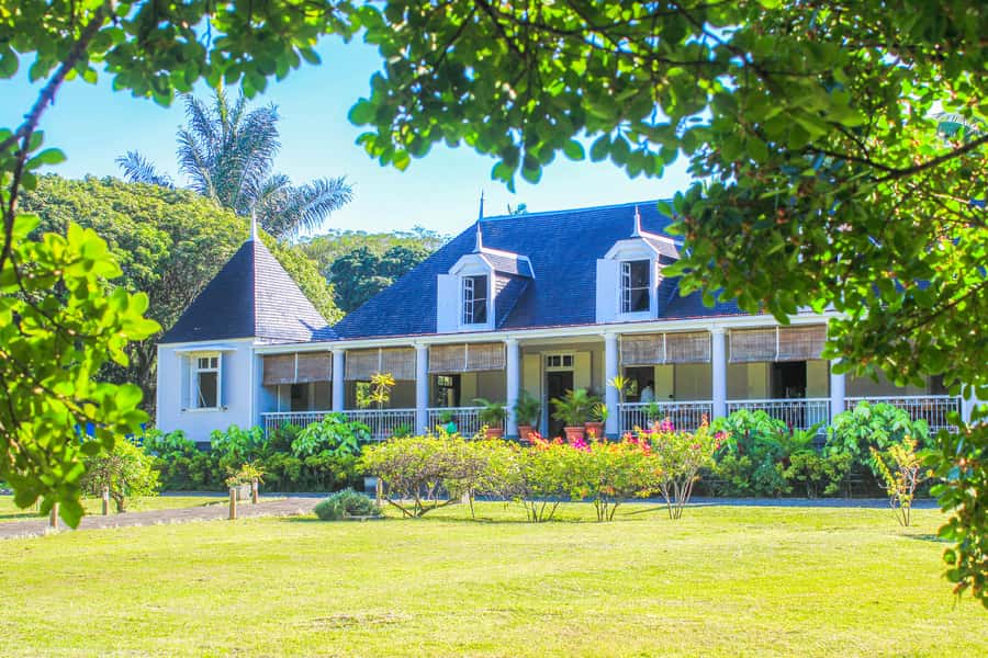 Tea, Rum & Vanilla Route - Key points to know before booking