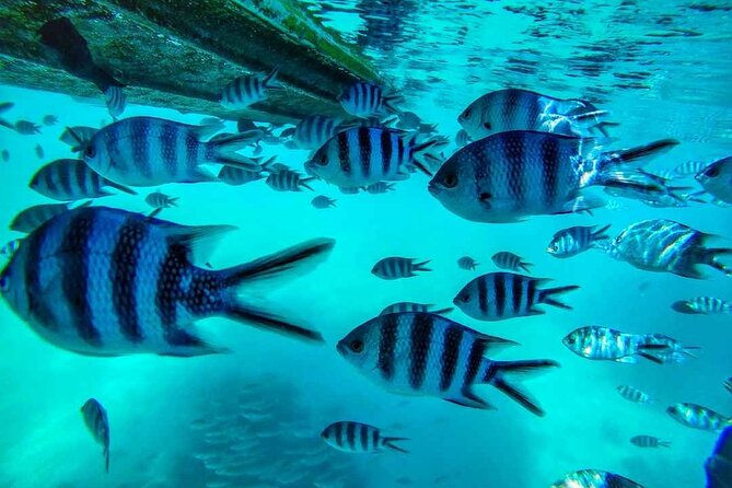 The Adventure East of Mauritius: 3-Watersport Activities & Blue-Bay Marine Park - What the private format is really worth
