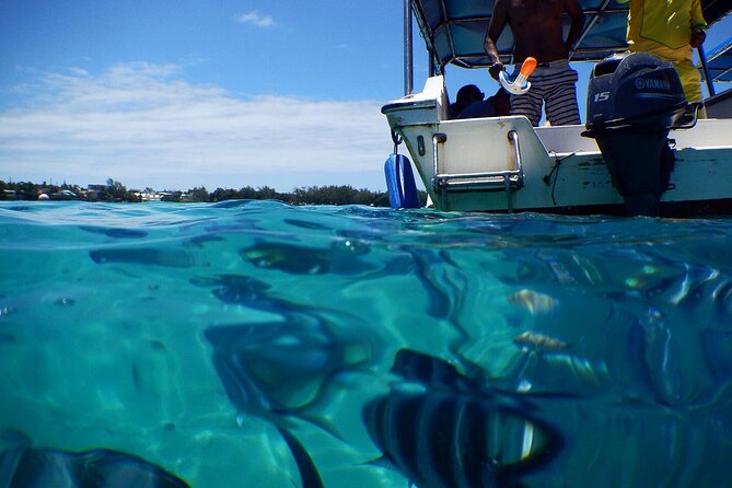 The beautiful East of Mauritius:incl Blue-Bay Marine Park, Crocodile park &Lunch - Blue Bay Marine Park starts the day with clear water and coral
