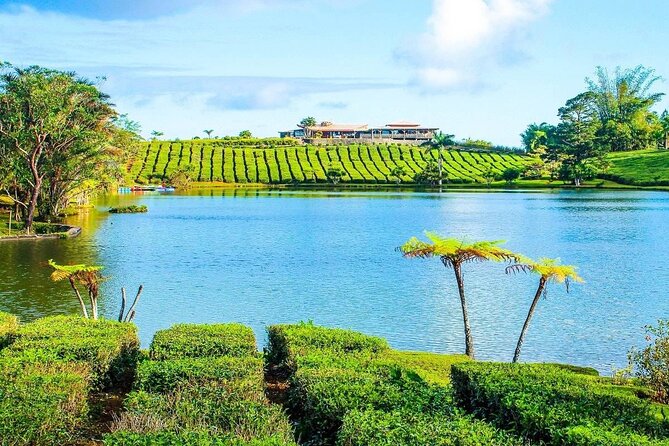 The East Discovery Tour: Bois-Cheri Tea Factory, Blue-Bay Marine Park & Lunch - Mahebourg Waterfront and the Battle of Grand Port